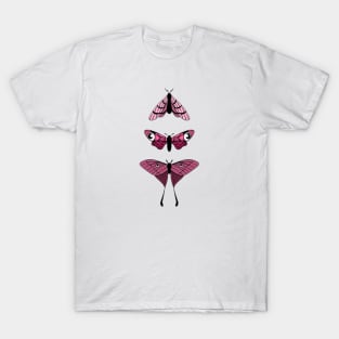 Pink moths T-Shirt